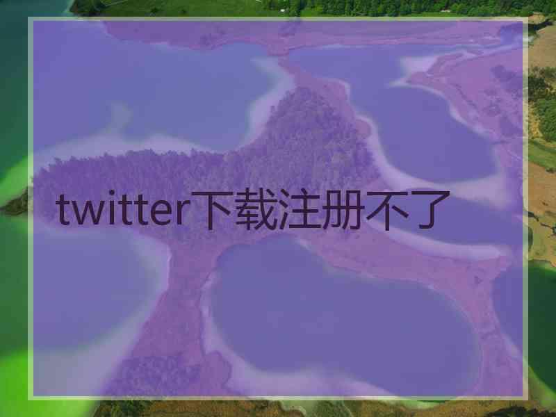 twitter下载注册不了