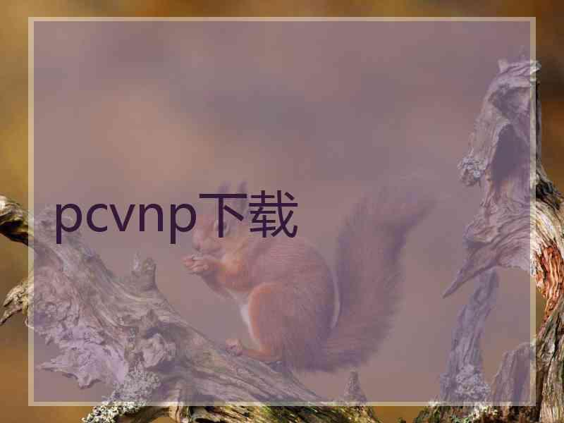 pcvnp下载