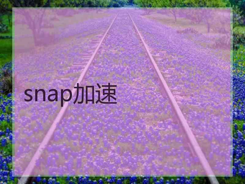 snap加速