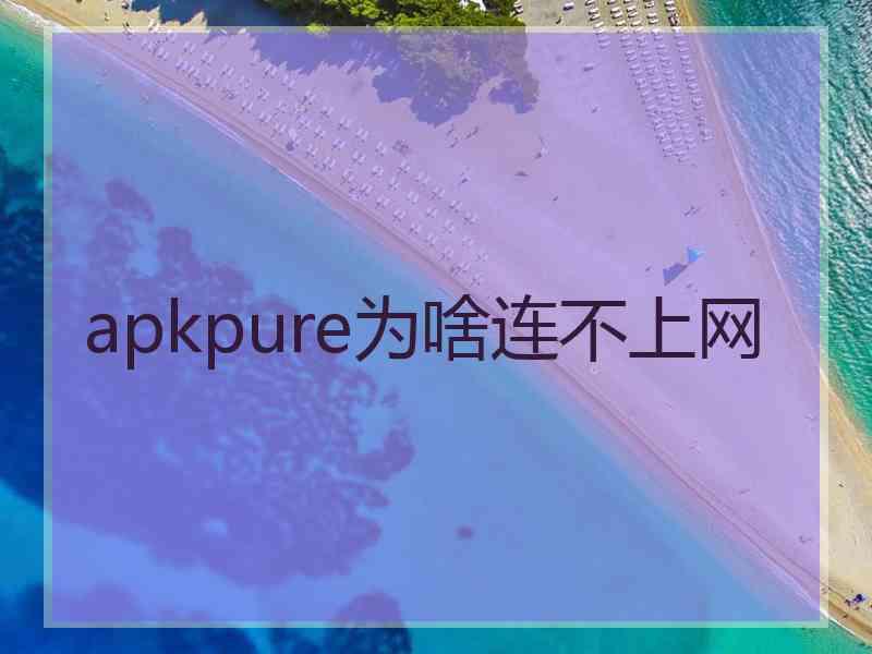 apkpure为啥连不上网