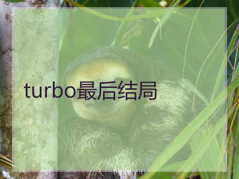 turbo最后结局