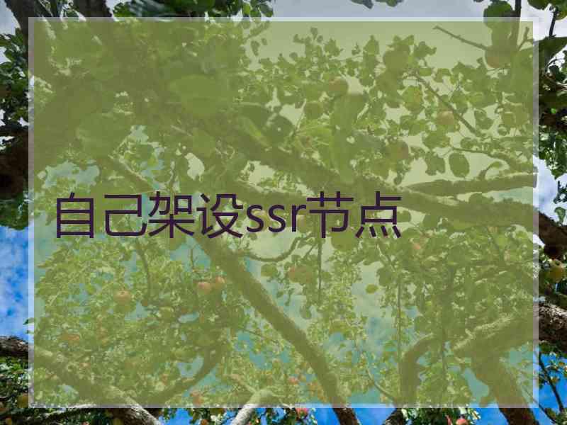 自己架设ssr节点