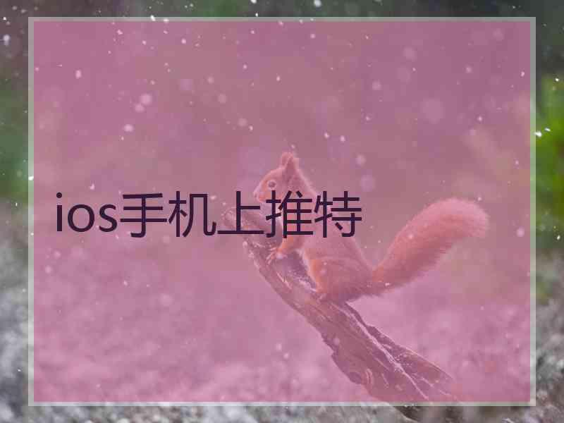 ios手机上推特