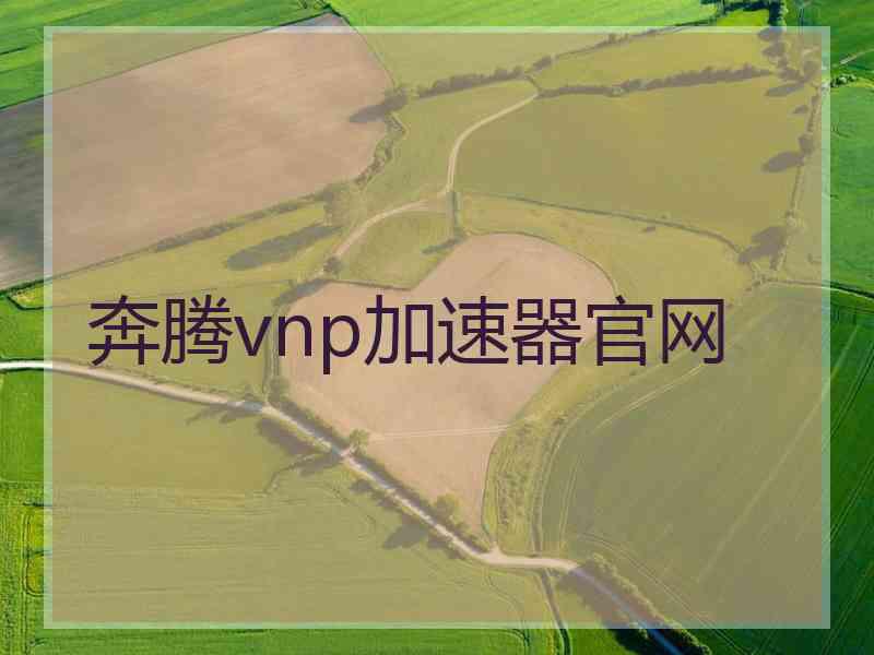 奔腾vnp加速器官网