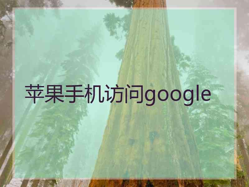 苹果手机访问google