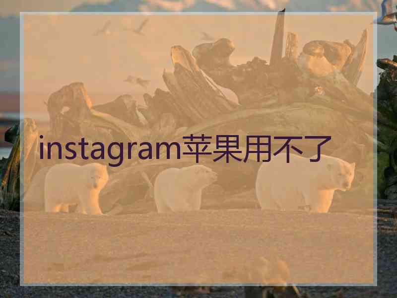 instagram苹果用不了