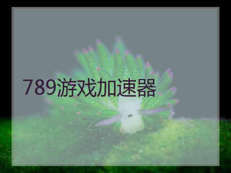 789游戏加速器