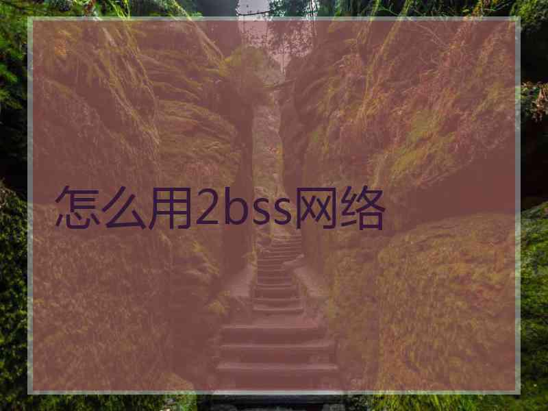 怎么用2bss网络