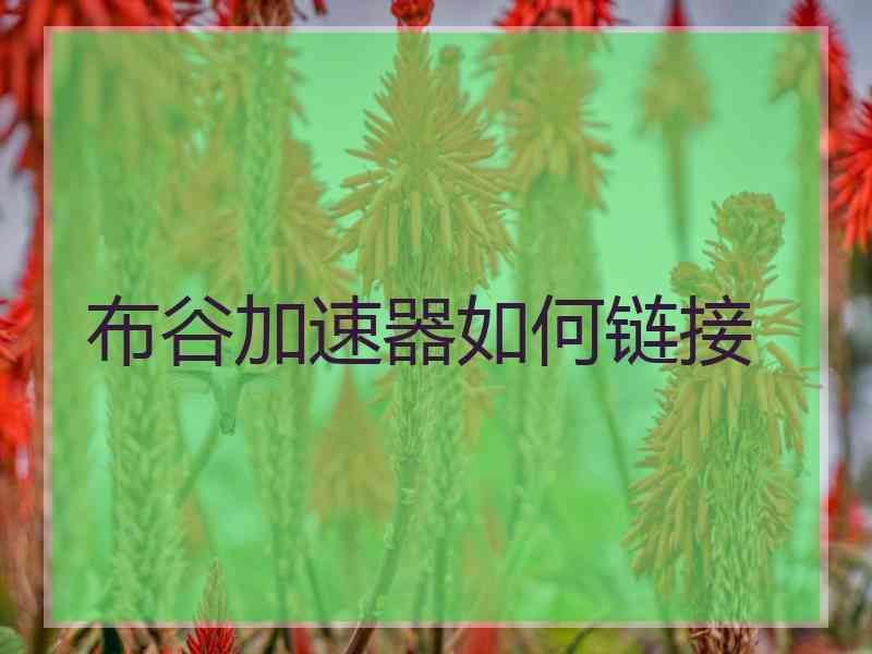 布谷加速器如何链接