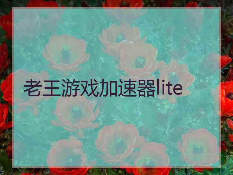 老王游戏加速器lite