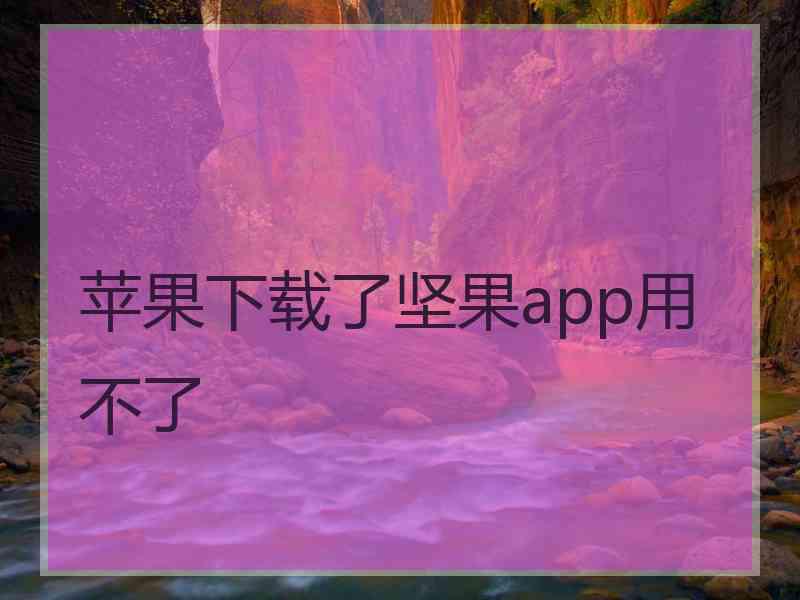 苹果下载了坚果app用不了