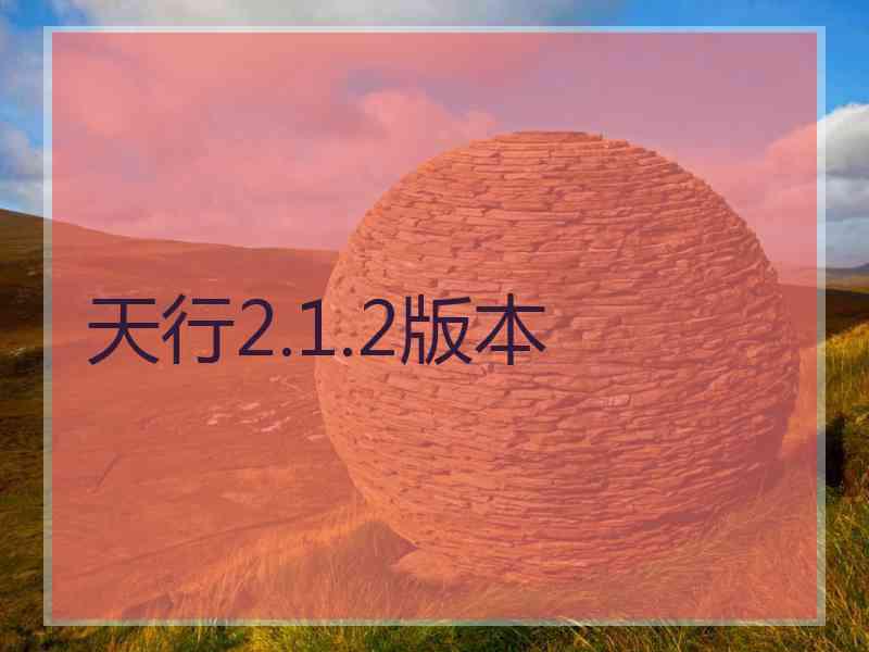 天行2.1.2版本