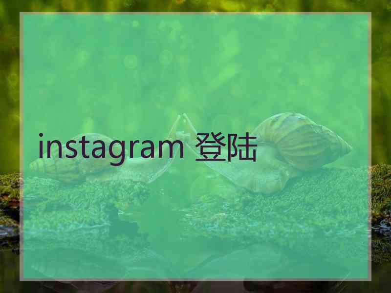 instagram 登陆