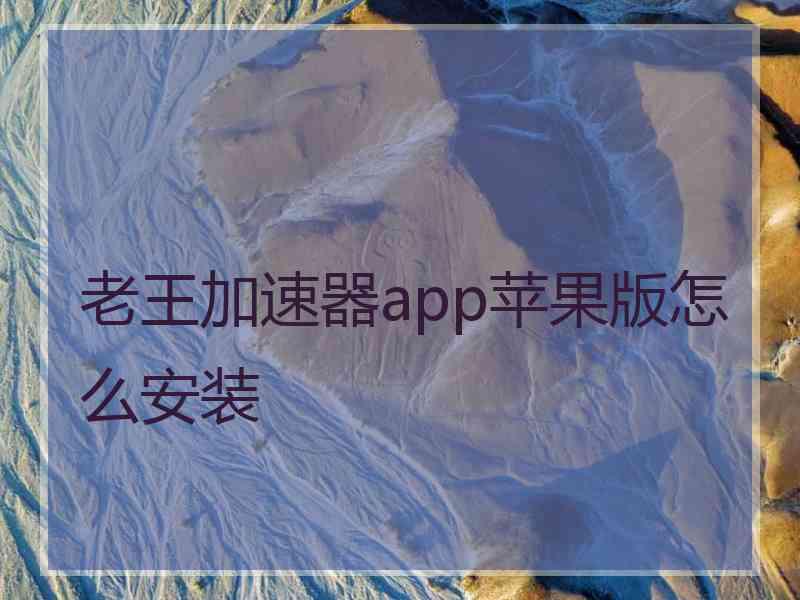 老王加速器app苹果版怎么安装