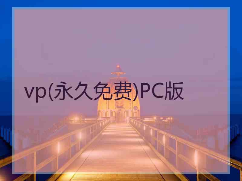 vp(永久免费)PC版