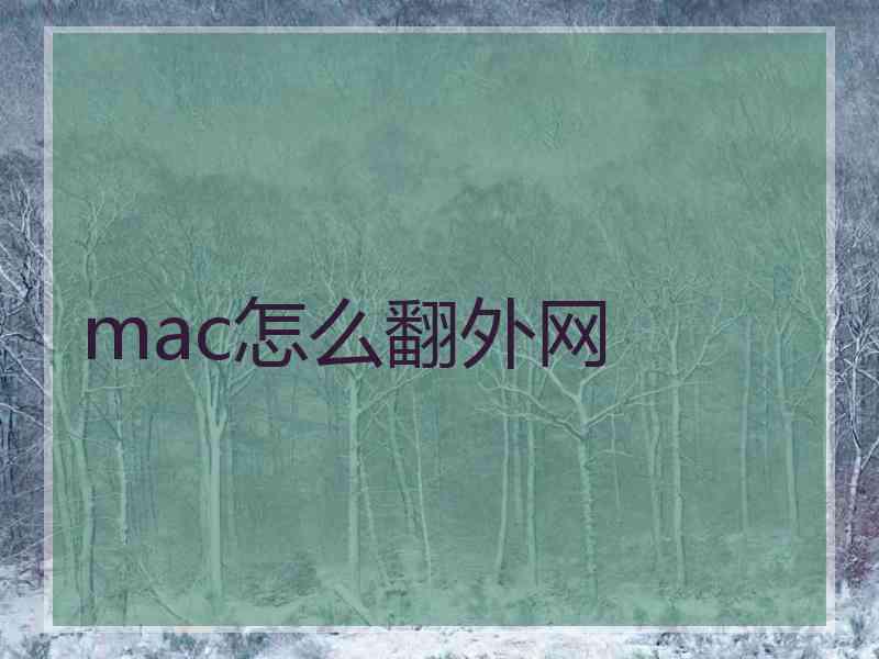 mac怎么翻外网