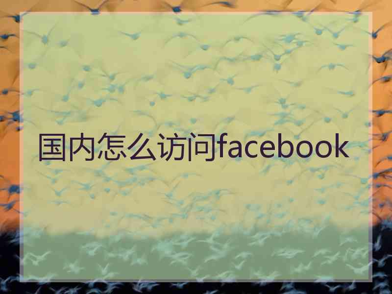 国内怎么访问facebook