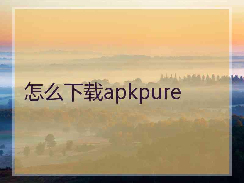 怎么下载apkpure