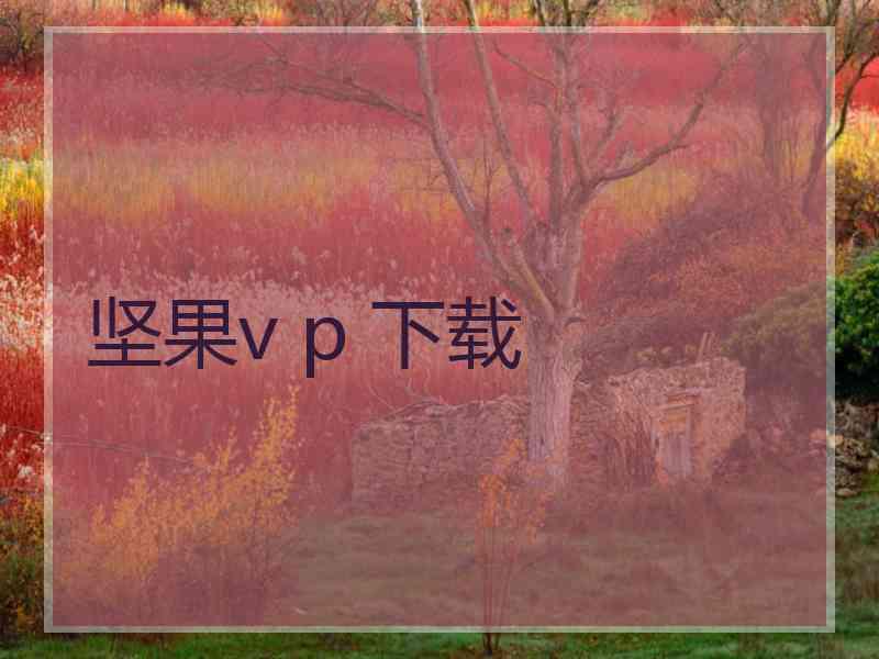 坚果v p 下载