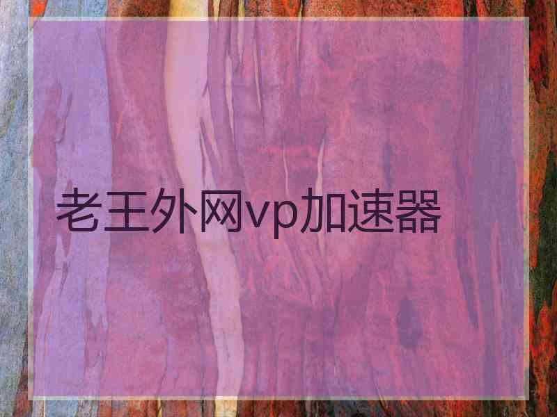 老王外网vp加速器