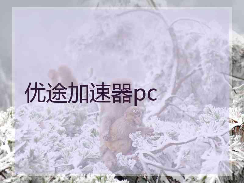 优途加速器pc