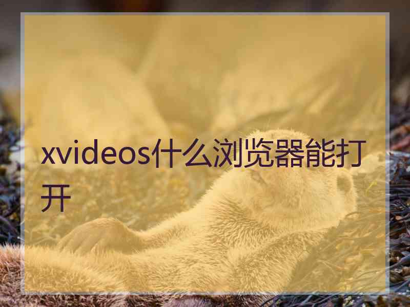 xvideos什么浏览器能打开