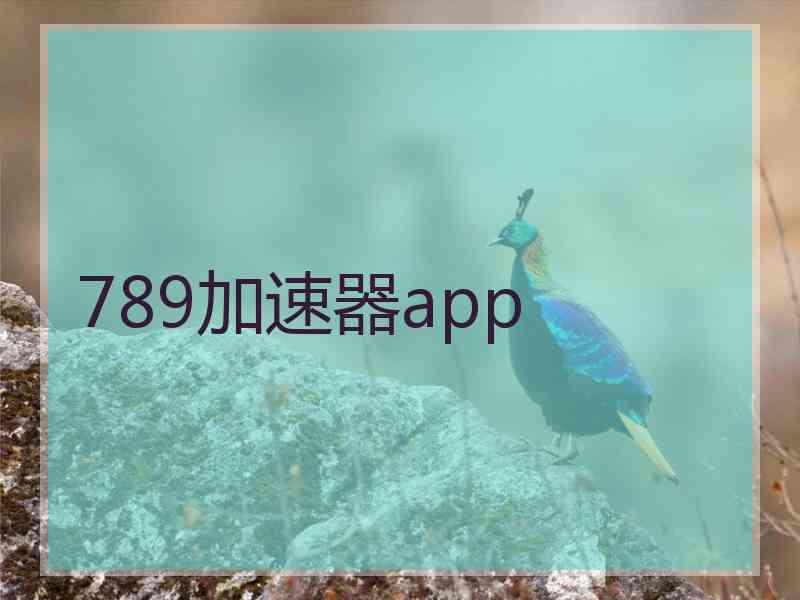 789加速器app