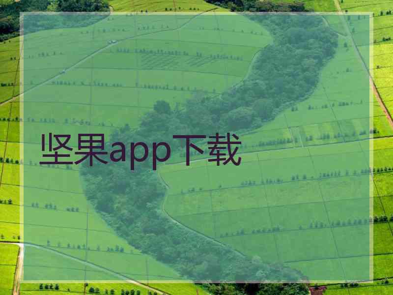 坚果app下载