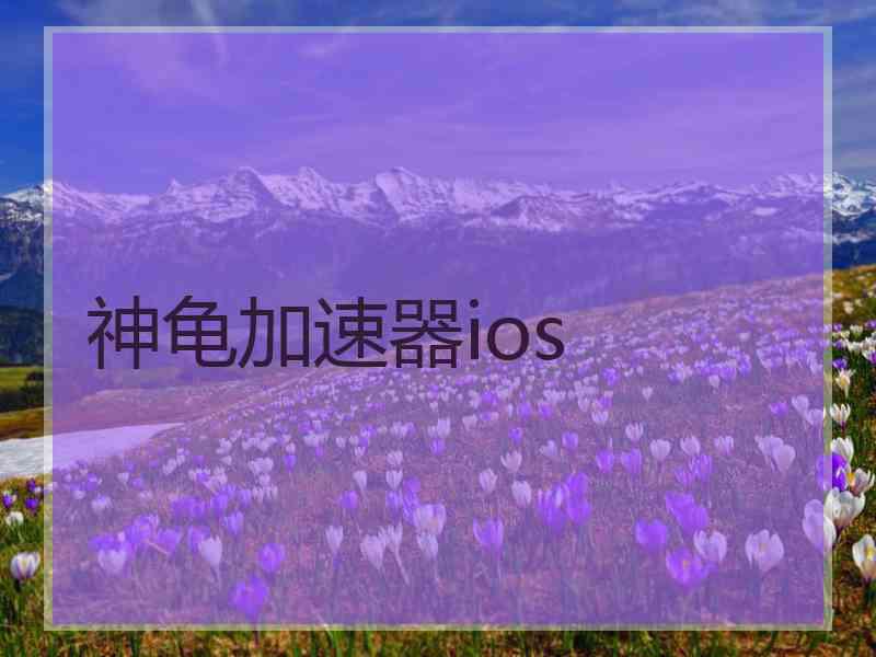 神龟加速器ios