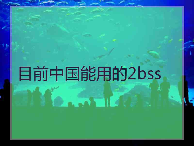 目前中国能用的2bss