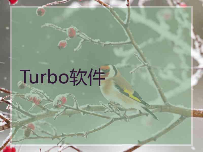 Turbo软件