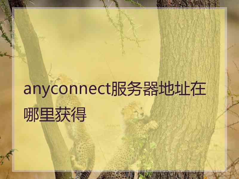 anyconnect服务器地址在哪里获得