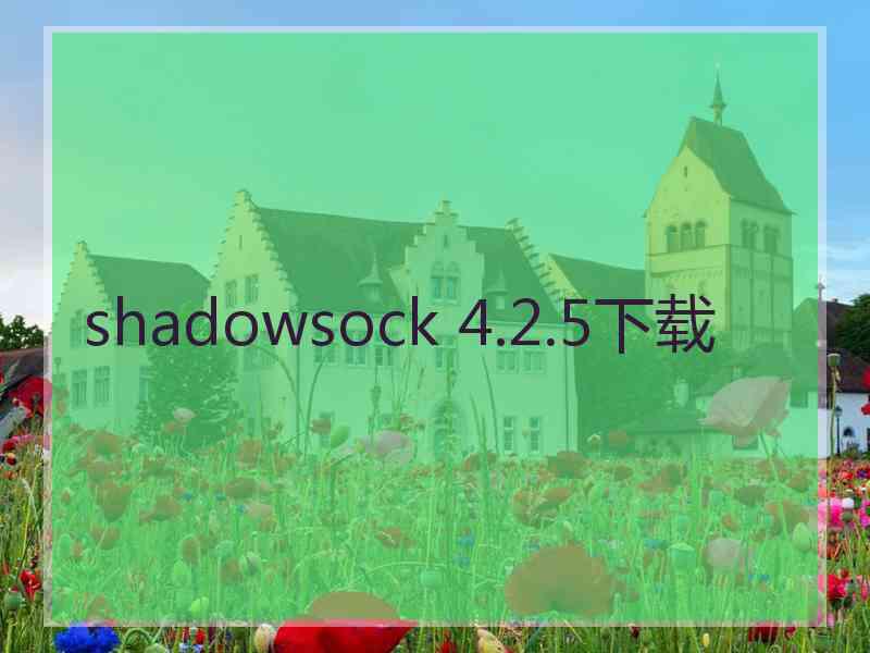 shadowsock 4.2.5下载