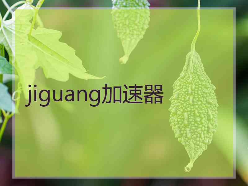 jiguang加速器