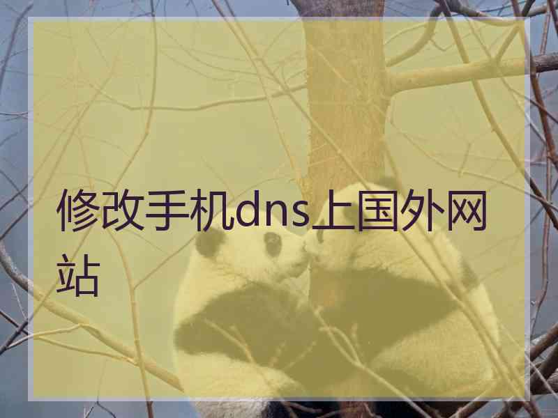 修改手机dns上国外网站