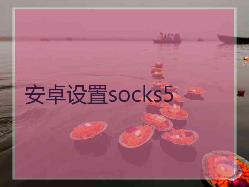 安卓设置socks5