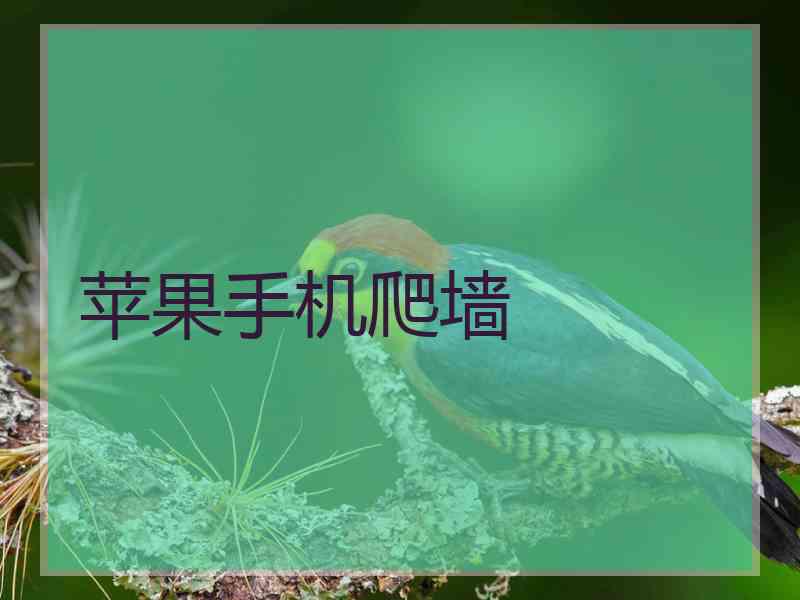 苹果手机爬墙