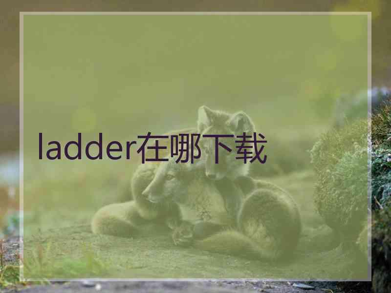 ladder在哪下载