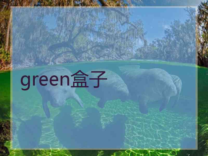 green盒子