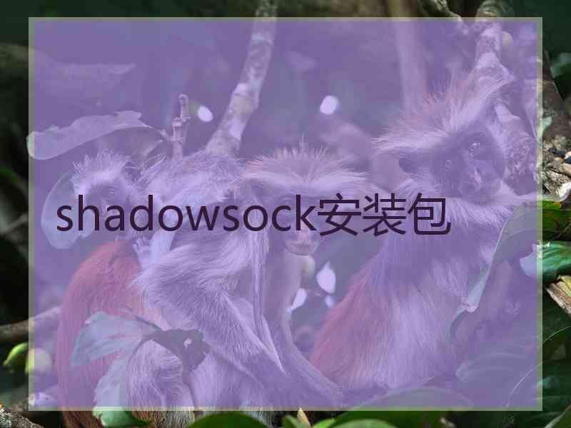 shadowsock安装包