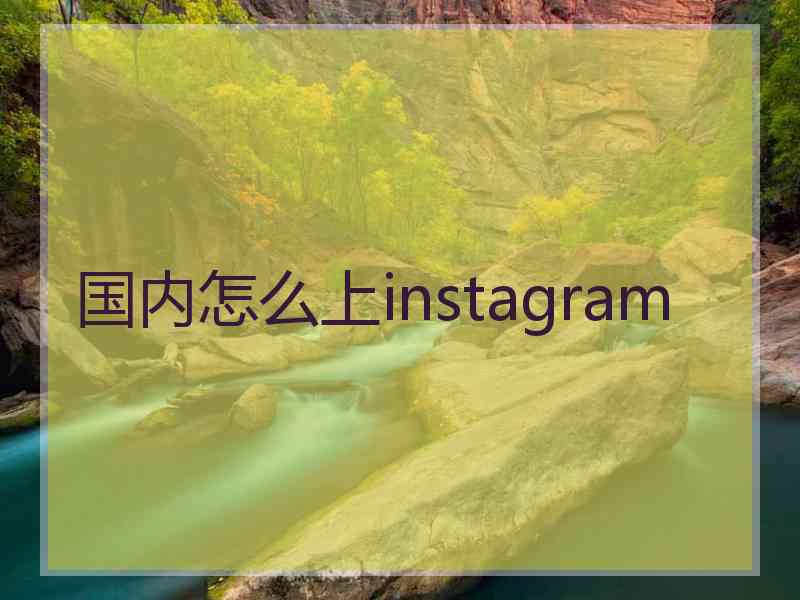 国内怎么上instagram