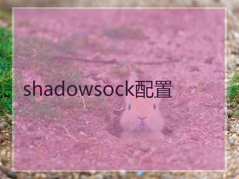 shadowsock配置