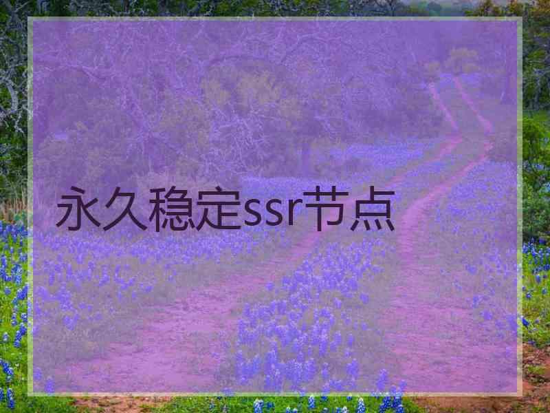 永久稳定ssr节点