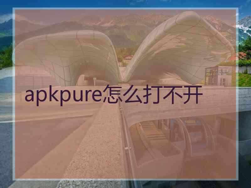 apkpure怎么打不开