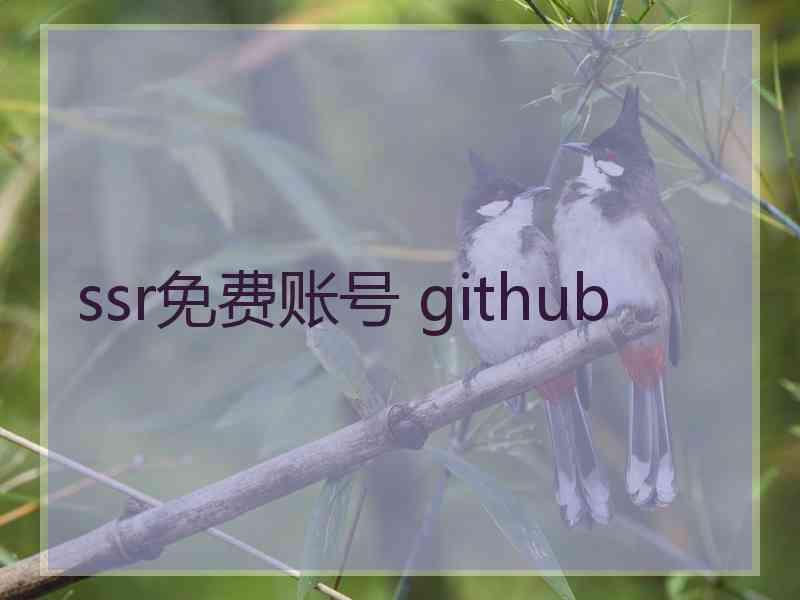 ssr免费账号 github