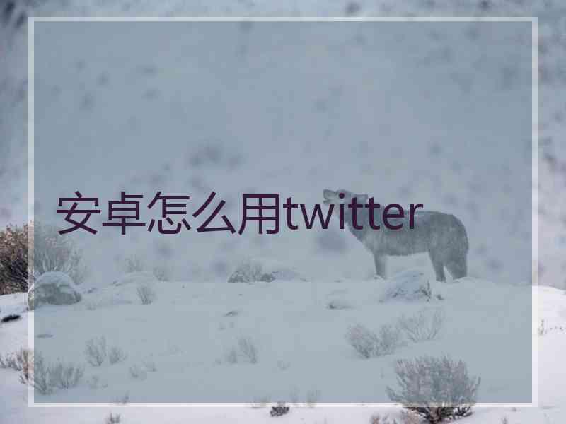 安卓怎么用twitter