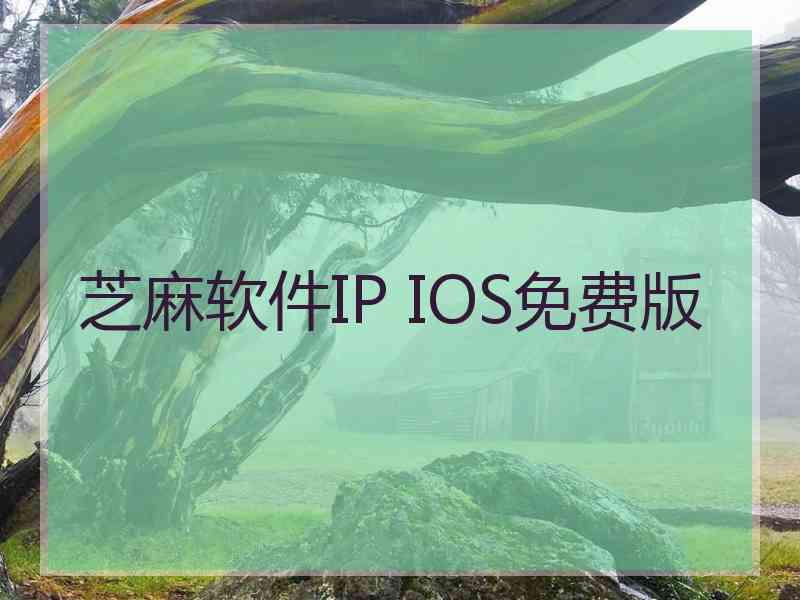 芝麻软件IP IOS免费版