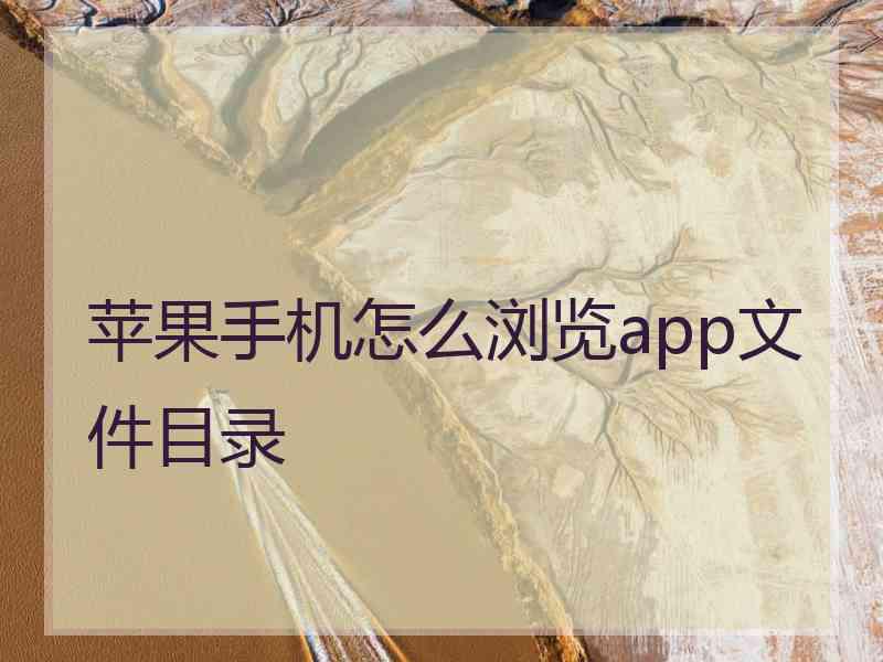 苹果手机怎么浏览app文件目录