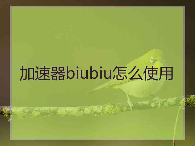 加速器biubiu怎么使用